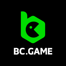 Your Ultimate BC.Game Bonus Guide