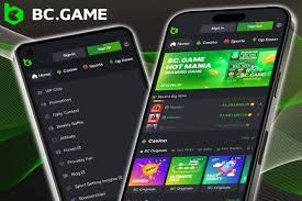 Explore the Exciting World of BC Game vs Casino